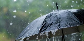 Lluvias vuelven el jueves en las Ciudades Gemelas antes de gran fin de semana Lluvias vuelven el jueves en las Ciudades Gemelas antes de gran fin de semana