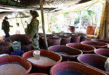 El Cártel de Sinaloa produce metanfetaminas de pureza sin precedentes: DEA El Cártel de Sinaloa produce metanfetaminas de pureza sin precedentes: DEA