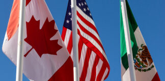 Exnegociadores urgen a México asumir postura activa ante revisión del T-MEC Exnegociadores urgen a México asumir postura activa ante revisión del T-MEC