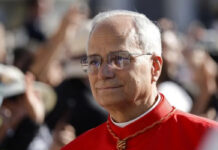 Gran honor para EEUU que León XIV sea el primer papa estadounidense: Donald Trump Gran honor para EEUU que León XIV sea el primer papa estadounidense: Donald Trump