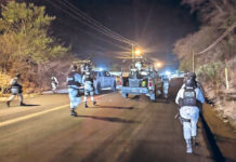 Grupo armado ataca comercios y casas del poblado El 30, en Guerrero; hay 6 muertos Grupo armado ataca comercios y casas del poblado El 30, en Guerrero; 6 ejecutados