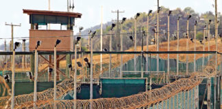 Trump gastó 21 mdd en transportar a migrantes a la prisión de Guantánamo Trump gastó 21 mdd en transportar a migrantes a la prisión de Guantánamo