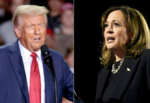 Trump pide indagar a Swift, Beyoncé, Oprah y Springsteen por respaldar a Harris Trump pide indagar a Swift, Beyoncé, Oprah y Springsteen por respaldar a Harris