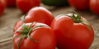 Tomates retirados del mercado en 14 estados por riesgo de salmonela: Lo que debes saber Tomates retirados del mercado en 14 estados por riesgo de salmonela: Lo que debes saber