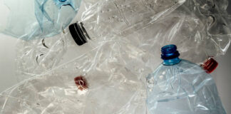 Una bacteria es capaz de convertir botellas de plástico en paracetamol Una bacteria es capaz de convertir botellas de plástico en paracetamol