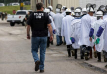 “Trump usa detenciones de ICE como estrategia de terror”: Amnistía Internacional "Trump usa detenciones de ICE como estrategia de terror”: Amnistía Internacional