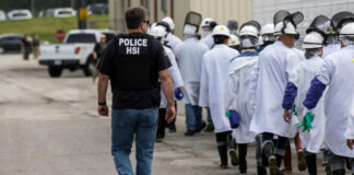 “Trump usa detenciones de ICE como estrategia de terror”: Amnistía Internacional "Trump usa detenciones de ICE como estrategia de terror”: Amnistía Internacional