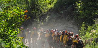 Hombre disparó a bomberos en Idaho; el sujeto fue quien provocó un incendio Hombre disparó a bomberos en Idaho; el sujeto fue quien provocó un incendio