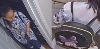 Adolescente desaparecida de Willmar podría haberse fugado con un hombre adulto Adolescente desaparecida de Willmar podría haberse fugado con un hombre adulto