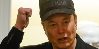 Elon Musk desmiente a Trump y dice que nunca le enseñaron el plan fiscal Elon Musk desmiente a Trump y dice que nunca le enseñaron el plan fiscal