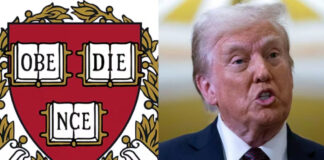 Jueza amplía orden que suspende bloqueo de Trump a estudiantes extranjeros en Harvard Jueza amplía orden que suspende bloqueo de Trump a estudiantes extranjeros en Harvard
