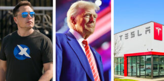 Tesla, una montaña rusa en Wall Street; el costo de la guerra entre Trump y Musk Tesla, una montaña rusa en Wall Street; el costo de la guerra entre Trump y Musk