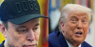 Trump retirará subsidios a empresas de Elon Musk; “le pedí que se fuera y se volvió loco”, dice