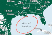 Trump Mobile incluye el “Golfo de México” en su mapa de cobertura; tras las burlas lo retira Trump Mobile incluye el "Golfo de México" en su mapa de cobertura; tras las burlas, retira el plano
