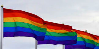 Donald Trump “no tiene planes” para una declaración por el Mes del Orgullo Donald Trump "no tiene planes" para una declaración por el Mes del Orgullo