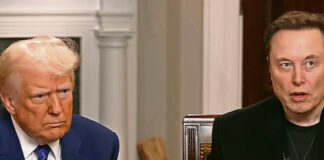 El rompimiento: “Me decepcionas”, dice Trump; “sin mí, no ganas”, revira Musk El rompimiento: "Me decepcionas", dice Trump; "sin mí, no ganas", revira Musk