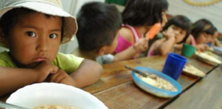 ONU reporta baja en hambre e inseguridad alimentaria en América Latina y el Caribe ONU reporta baja en hambre e inseguridad alimentaria en América Latina y el Caribe