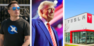 Tesla pierde 300 mdd en el segundo trimestre por aranceles de Trump Tesla pierde 300 mdd en el segundo trimestre por aranceles de Trump