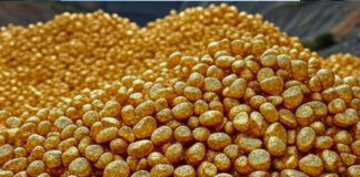 Atraco de película: Roban camión con 33 toneladas de oro y plata cerca de Guadalajara Atraco de película: Roban camión con 33 toneladas de oro y plata cerca de Guadalajara