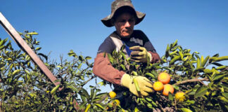 El gobierno de Brasil se declara “listo para negociar aranceles” con Trump El gobierno de Brasil se declara “listo para negociar aranceles” con Trump