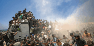 Crisis humanitaria en Gaza: Pandillas y comerciantes acaparan ayuda para la reventa Crisis humanitaria en Gaza: Pandillas y comerciantes acaparan ayuda para la reventa