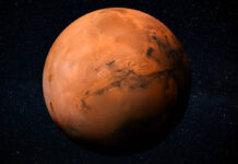 Crean un posible hábitat marciano a partir de bioplásticos fabricados por algas Crean un posible hábitat marciano a partir de bioplásticos fabricados por algas