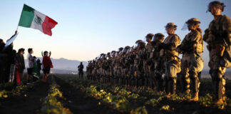Trabajador mexicano está con soporte vital tras redada en una plantación; cayó desde 9 metros Trabajador mexicano está con soporte vital tras redada en una plantación; cayó desde 9 metros