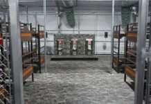 Hermanos mexicanos son detenidos y llevados a “Alligator Alcatraz”; uno con visa de turista Hermanos mexicanos son detenidos y llevados a "Alligator Alcatraz"; uno vacacionaba con visa de turista