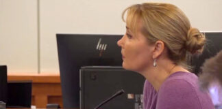 Nicole Mitchell dimite del Senado de Minnesota antes de lo previsto, tras condena Nicole Mitchell dimite del Senado de Minnesota antes de lo previsto, tras condena