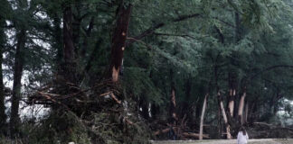 52 muertos por inundaciones en Texas; continúa la búsqueda de 27 niñas 52 muertos por inundaciones en Texas; continúa la búsqueda de 27 niñas