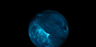 Descubren un fósil cósmico en el borde del sistema solar, el planeta Ammonite Descubren un fósil cósmico en el borde del sistema solar, el planeta Ammonite