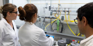 Crean un método para fabricar plásticos sin metales pesados ni disolventes tóxicos Crean un método para fabricar plásticos sin metales pesados ni disolventes tóxicos