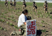 Redada migratoria en granja de cannabis en California es la más grande; hay 361 detenidos Redada migratoria en granja de cannabis en California es la más grande; hay 361 detenidos