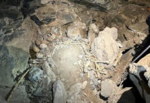 Rescatan restos óseos de al menos 500 años en cueva prehispánica de Coahuila Rescatan restos óseos de al menos 500 años en cueva prehispánica de Coahuila