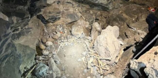 Rescatan restos óseos de al menos 500 años en cueva prehispánica de Coahuila Rescatan restos óseos de al menos 500 años en cueva prehispánica de Coahuila