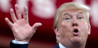 Trump prueba su plataforma de streaming Truth+; premiará a los usuarios “patriotas” Trump prueba su plataforma de streaming Truth+; premiará a los usuarios “patriotas”