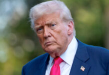 “¡Ya no quiero su apoyo!”, dice Trump a seguidores que critican su manejo del caso Epstein "¡Ya no quiero su apoyo!", dice Trump a seguidores que critican su manejo del caso Epstein