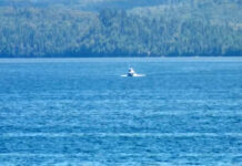 Un hombre nada 2 millas hasta un lugar seguro tras caer por la borda en el Lago Superior Un hombre nada 2 millas hasta un lugar seguro tras caer por la borda en el Lago Superior