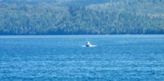 Un hombre nada 2 millas hasta un lugar seguro tras caer por la borda en el Lago Superior Un hombre nada 2 millas hasta un lugar seguro tras caer por la borda en el Lago Superior