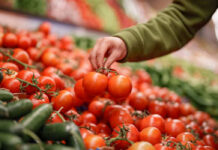 Arancel de EEUU a jitomate mexicano provocará desabasto, advierten demócratas Arancel de EEUU a jitomate mexicano provocará desabasto, advierten demócratas