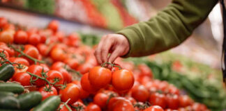Arancel de EEUU a jitomate mexicano provocará desabasto, advierten demócratas Arancel de EEUU a jitomate mexicano provocará desabasto, advierten demócratas