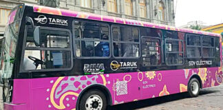 EEUU busca adquirir 20 mil unidades de Taruk, el primer autobús eléctrico mexicano EEUU busca adquirir 20 mil unidades de Taruk, el primer autobús eléctrico mexicano