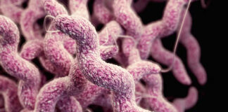 Suman 6 muertos y 34 infectados tras brote de bacteria “come carne” en Luisiana Suman 6 muertos y 34 infectados tras brote de bacteria "come carne" en Luisiana