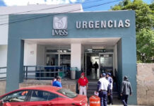 Zacatecas reporta caso de rabia por mordida de zorrillo; la paciente se encuentra grave Zacatecas reporta caso de rabia por mordida de zorrillo; la paciente se encuentra grave