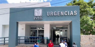 Zacatecas reporta caso de rabia por mordida de zorrillo; la paciente se encuentra grave Zacatecas reporta caso de rabia por mordida de zorrillo; la paciente se encuentra grave