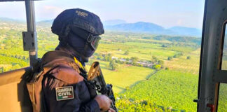 Desmantelan base criminal del Cártel Jalisco Nueva Generación en Michoacán Desmantelan base criminal del Cártel Jalisco Nueva Generación en Michoacán