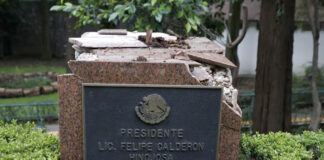 Árbol derriba estatua del expresidente mexicano Felipe Calderón en Los Pinos Árbol derriba estatua del expresidente mexicano Felipe Calderón en Los Pinos