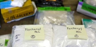 Detienen en Argentina al dueño del laboratorio donde se produjo fentanilo contaminado Detienen en Argentina al dueño del laboratorio donde se produjo fentanilo contaminado