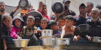 Hambruna en Gaza: Muertos por desnutrición superan los 200; casi la mitad son niños Hambruna en Gaza: Muertos por desnutrición superan los 200; casi la mitad son niños