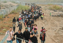 Secretaría de Relaciones Exteriores alerta sobre peligros de cruzar a EEUU Secretaría de Relaciones Exteriores alerta sobre peligros de cruzar a EEUU